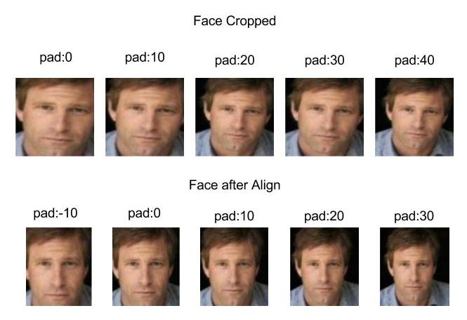 Cropping vs Face Alignment