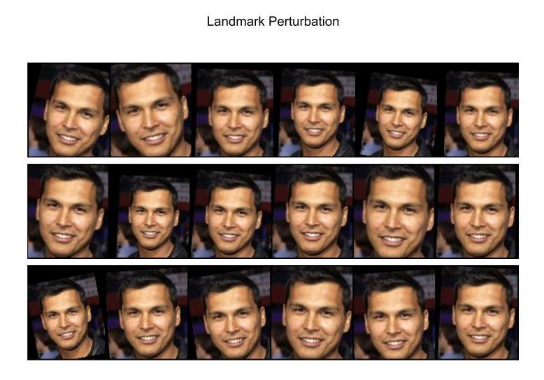 Face Landmark perturbation example