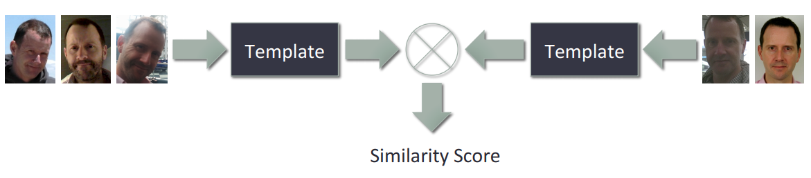 Template comparison at JANUS Benchmark